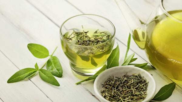 L-teanina, um constituinte natural do chá e seu efeito no estado mental